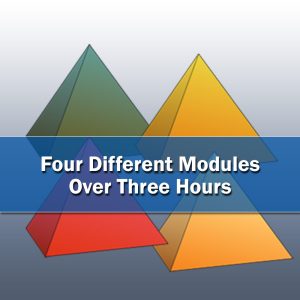 Path to Performance with NCI’s 4-D Business Model